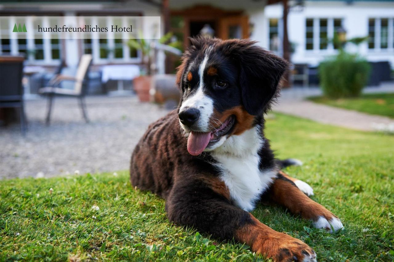 Hotel Waldrand Lenk Exteriér fotografie